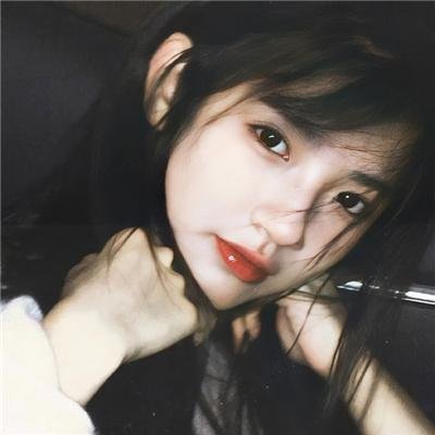 猫咪情缘